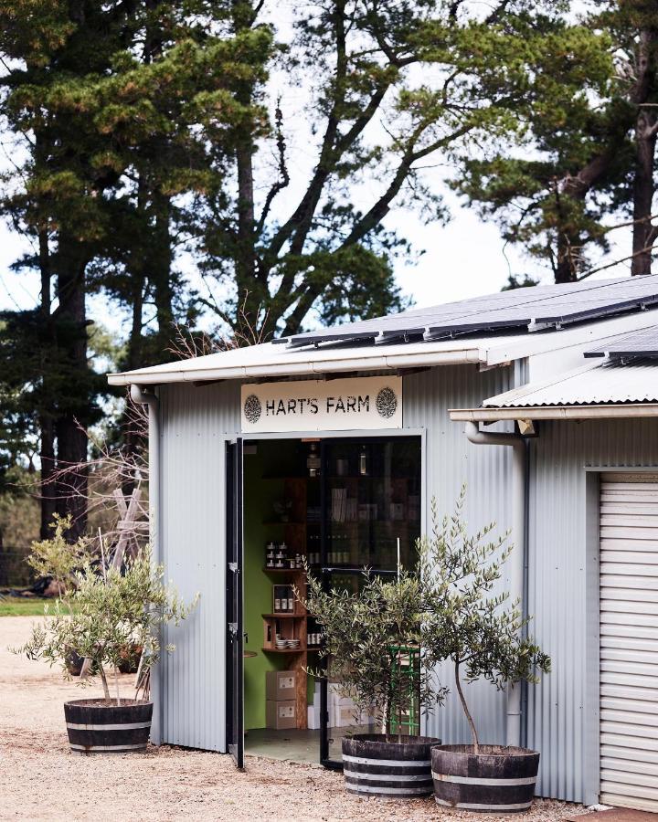 Shoreham Hart'S Farm B&B 외부 사진