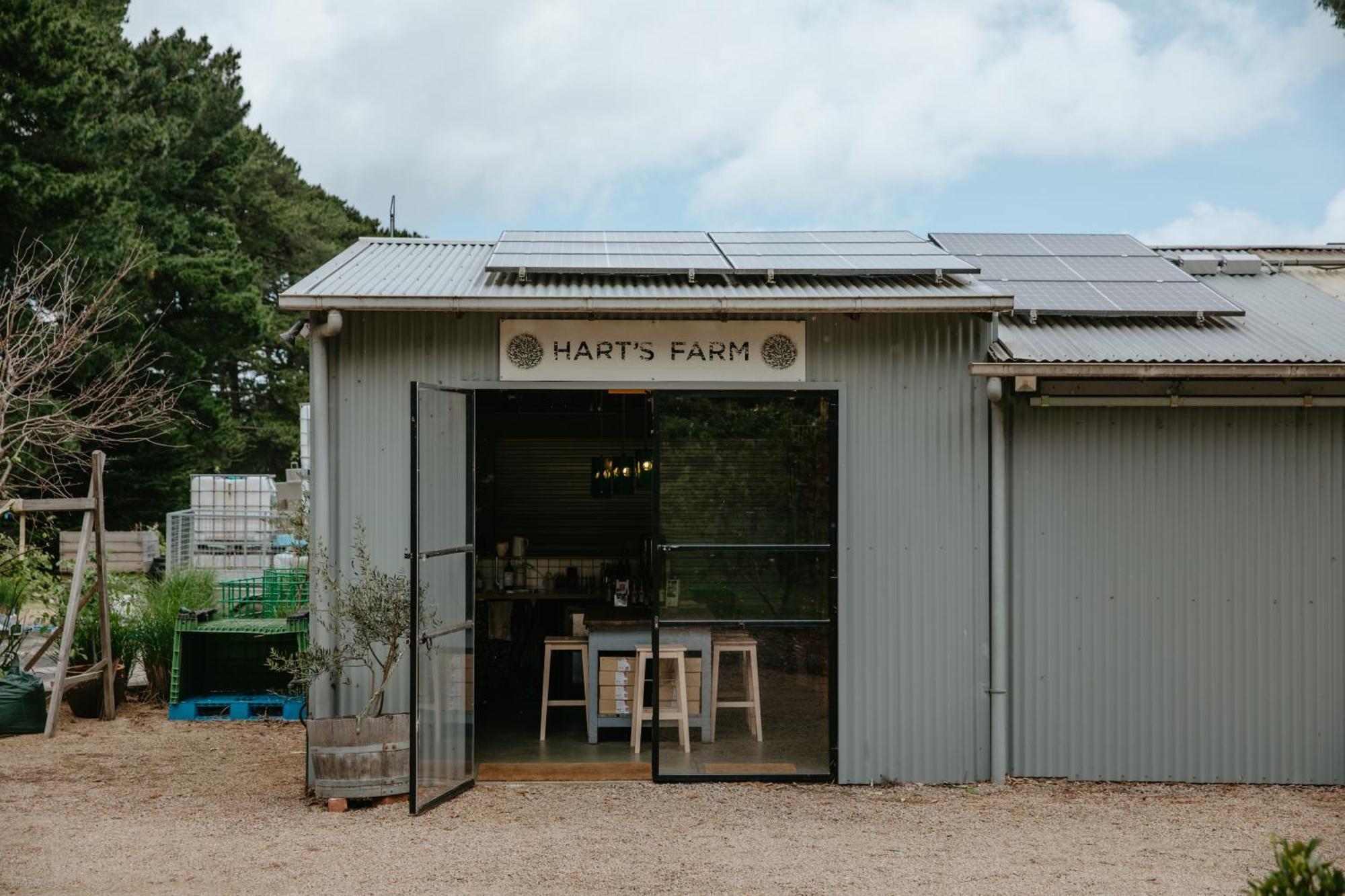 Shoreham Hart'S Farm B&B 외부 사진