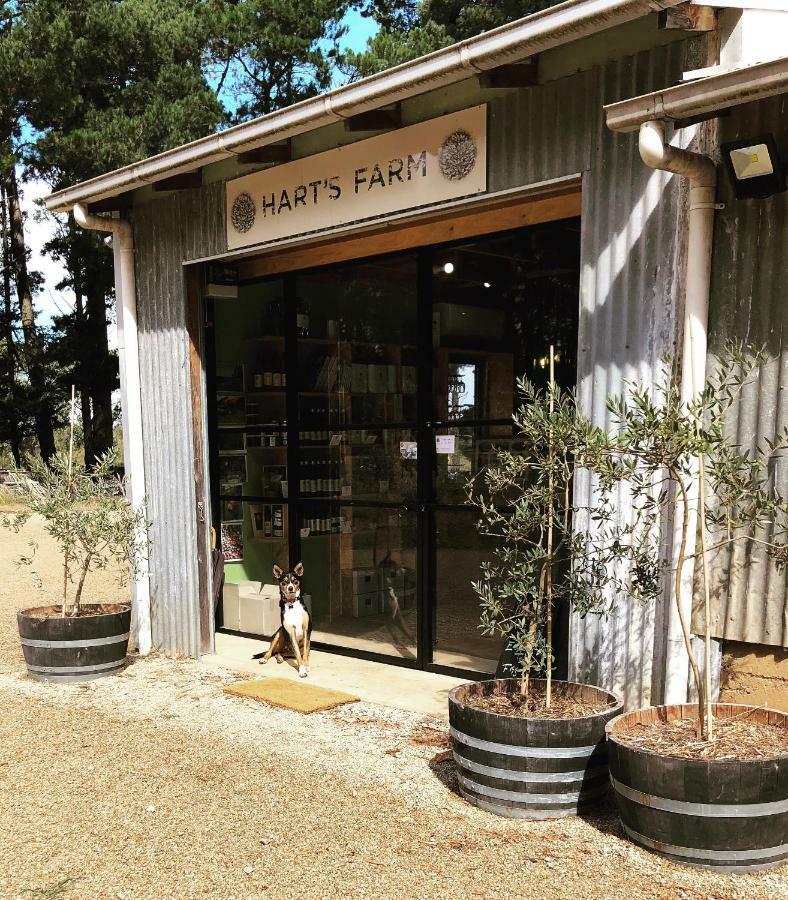 Shoreham Hart'S Farm B&B 외부 사진