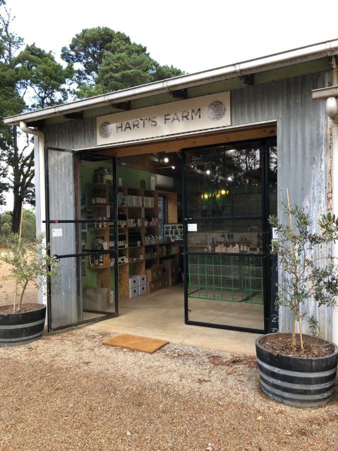 Shoreham Hart'S Farm B&B 외부 사진